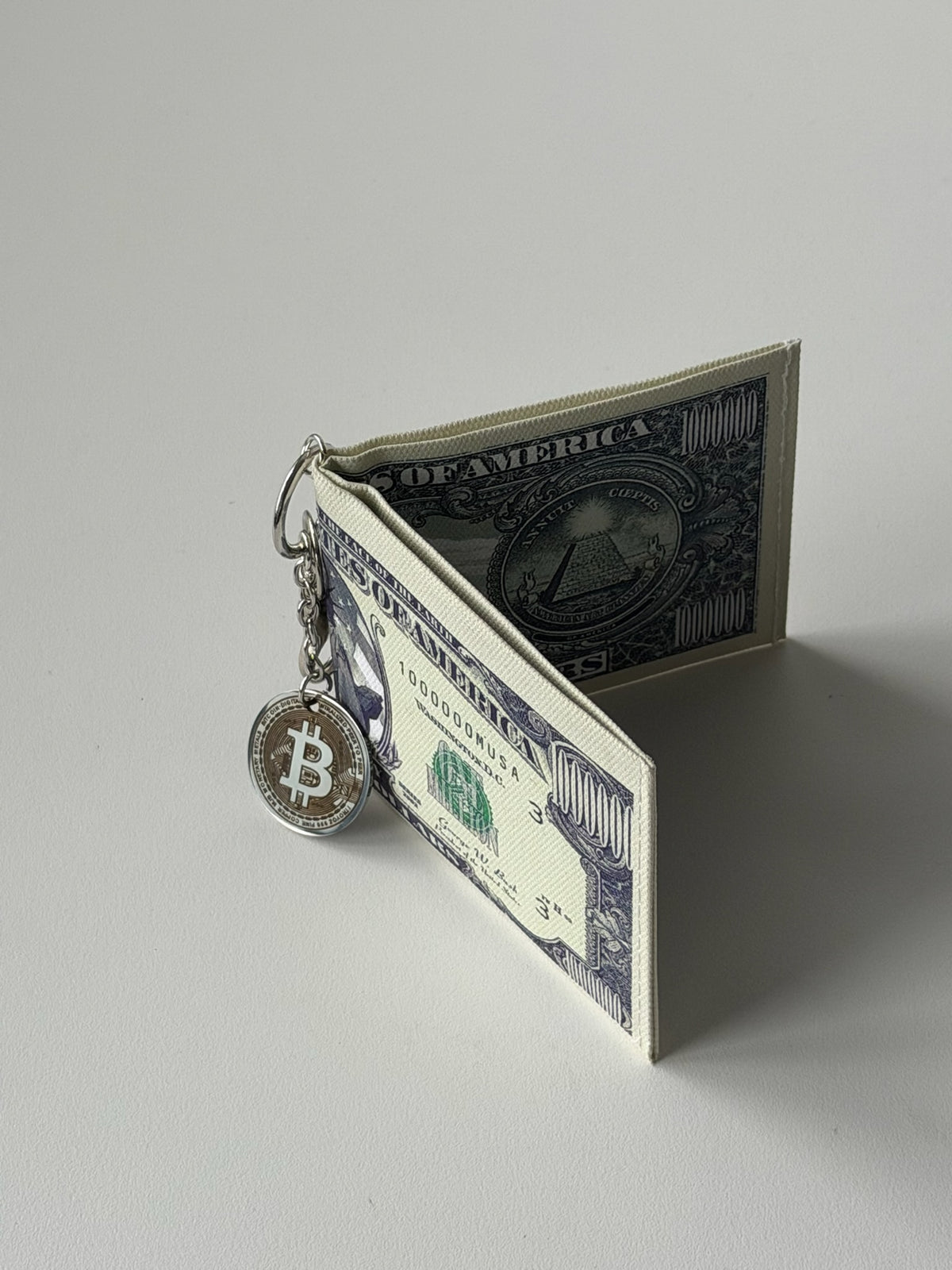Y2K Million Dollar Bill Clip-On Wallet – Bitcoin Charm